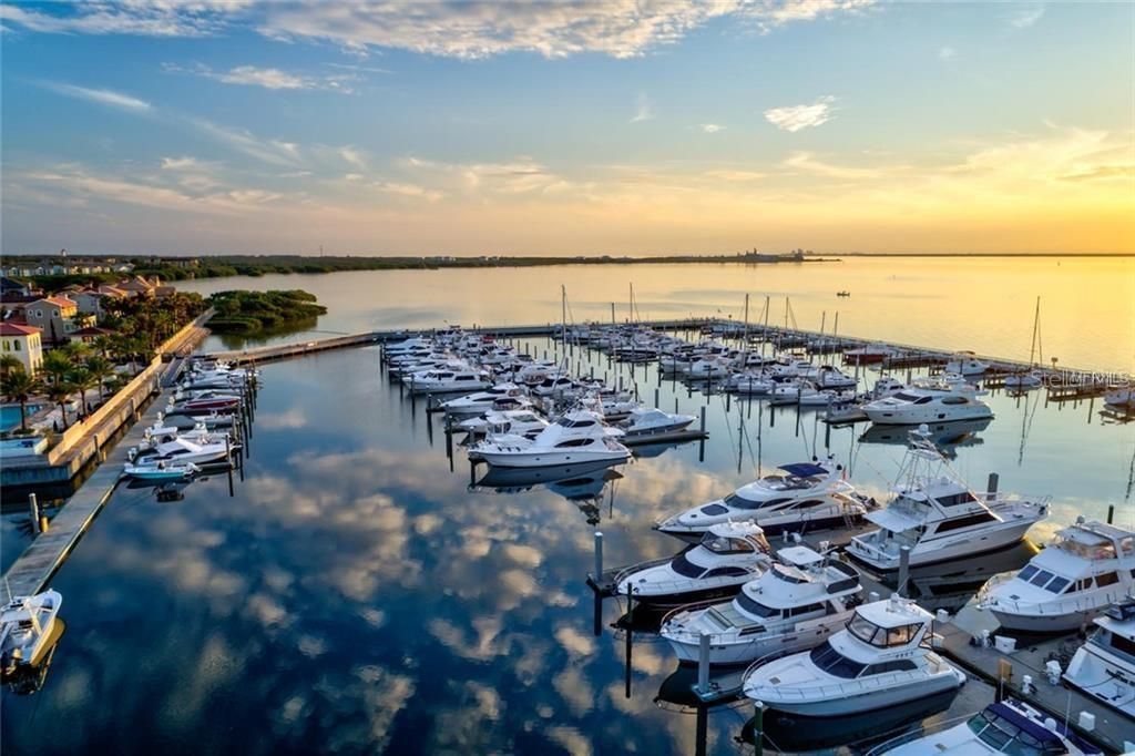Image 28 of property listing at 5713 BOWEN DANIEL DR. 505, Tampa, FL 33616