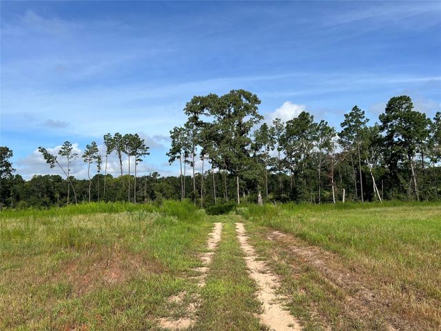 18288 Fm 1774, Plantersville, TX 77363