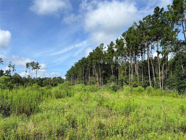 18288 Fm 1774, Plantersville, TX 77363