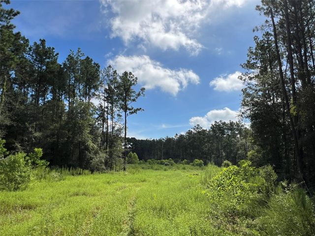 18288 Fm 1774, Plantersville, TX 77363