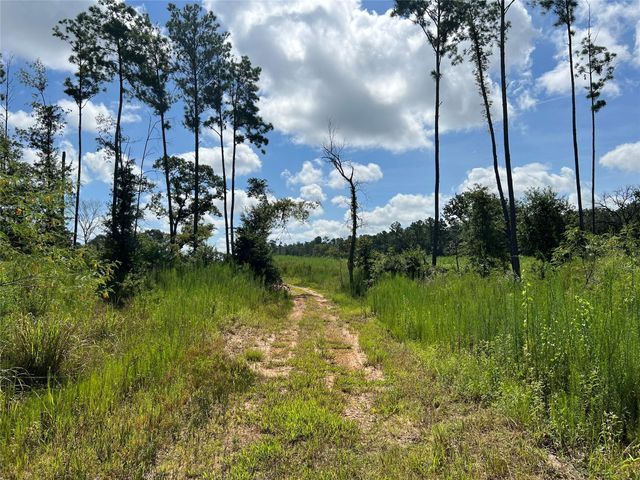 18288 Fm 1774, Plantersville, TX 77363