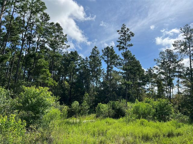 18288 Fm 1774, Plantersville, TX 77363