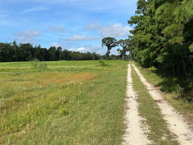 18288 Fm 1774, Plantersville, TX 77363
