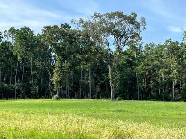 18288 Fm 1774, Plantersville, TX 77363