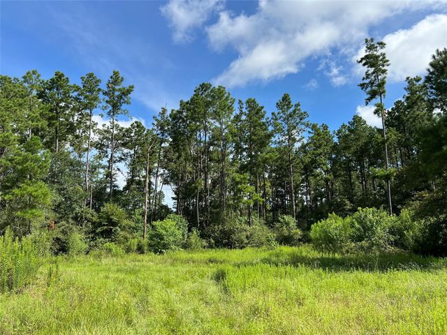 18288 Fm 1774, Plantersville, TX 77363