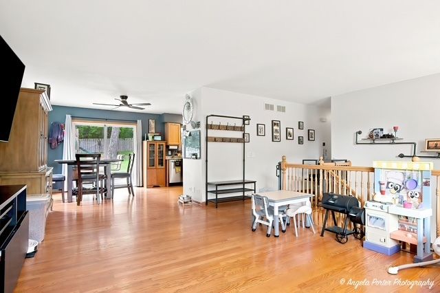 25194 W Buena Avenue, Lake Villa, IL 60046