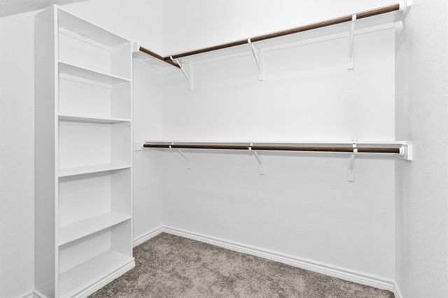 36244 Cochran Road, Waller, TX 77484