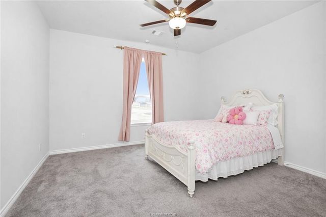 36244 Cochran Road, Waller, TX 77484