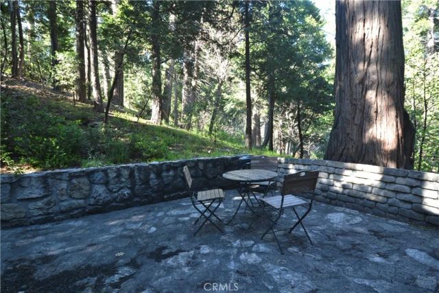 27245 Little Bear, Blue Jay, CA 92317