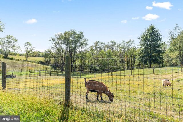 11625 WALNUT POINT RD, Hagerstown, MD 21740