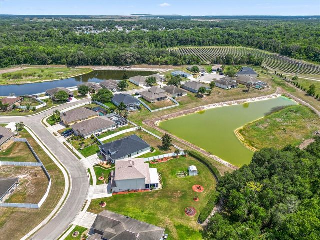 4769 HICKORY STREAM LANE, Mulberry, FL 33860