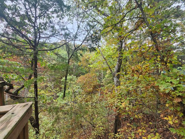 25961 Willow Road, Hermitage, MO 65668