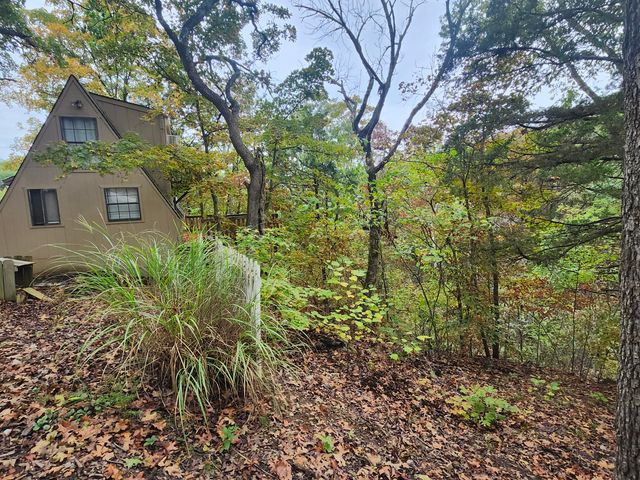 25961 Willow Road, Hermitage, MO 65668