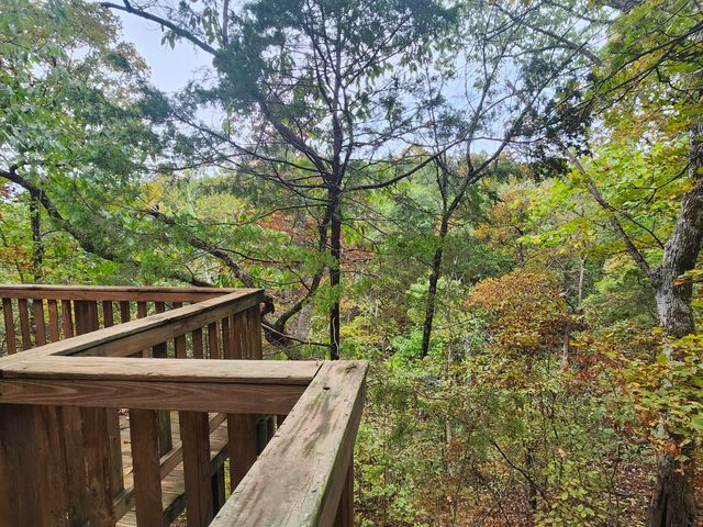 25961 Willow Road, Hermitage, MO 65668