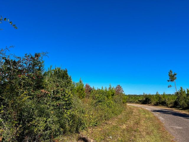 T-1 Fm 787, Votaw, TX 77376