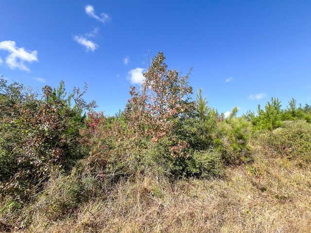 T-1 Fm 787, Votaw, TX 77376