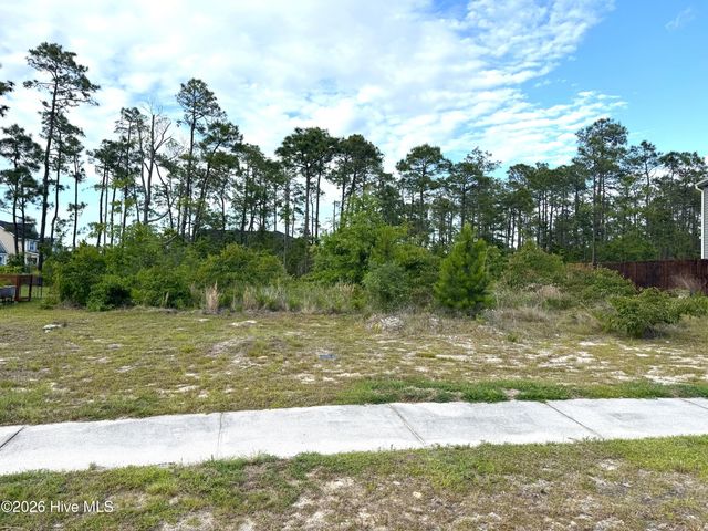 1732 E Coronado Avenue SE, Bolivia, NC 28422