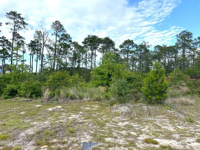 1732 E Coronado Avenue SE, Bolivia, NC 28422