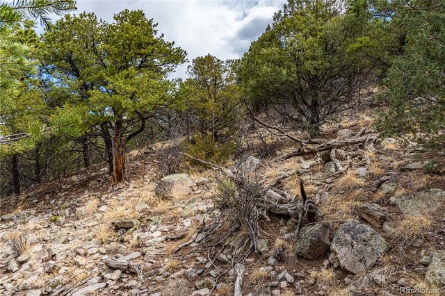 2126 E Path, Cotopaxi, CO 81223
