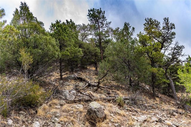 2126 E Path, Cotopaxi, CO 81223