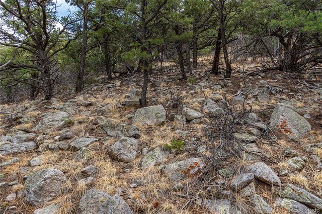 2126 E Path, Cotopaxi, CO 81223