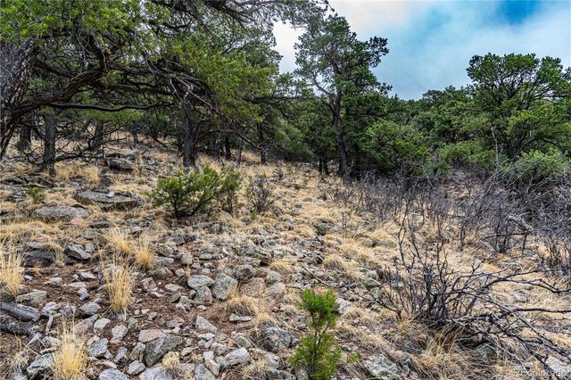 2126 E Path, Cotopaxi, CO 81223