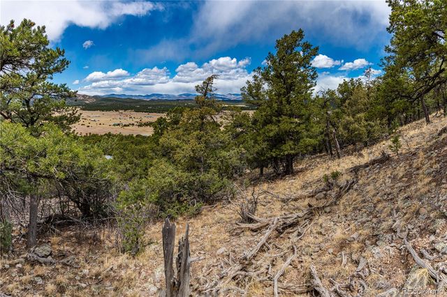 2126 E Path, Cotopaxi, CO 81223