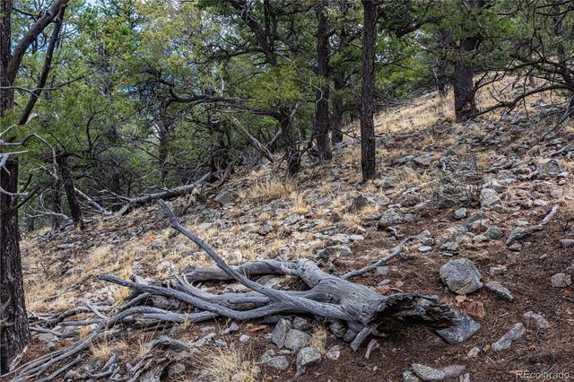 2126 E Path, Cotopaxi, CO 81223