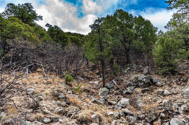 2126 E Path, Cotopaxi, CO 81223