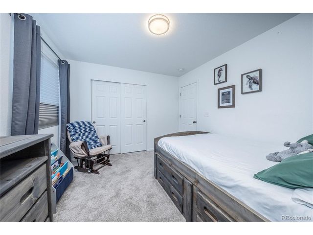 4761 Native Birch Ln, Castle Rock, CO 80104