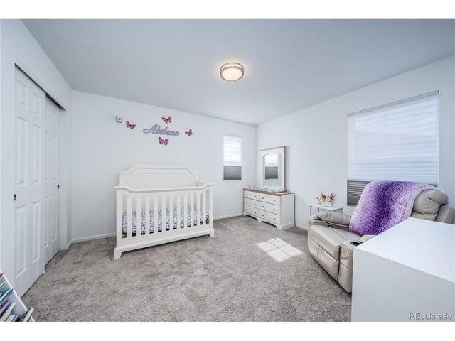 4761 Native Birch Ln, Castle Rock, CO 80104