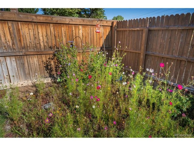 4761 Native Birch Ln, Castle Rock, CO 80104