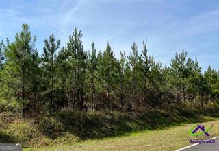 LOT 1 Whitfield Road, Elko, GA 31025
