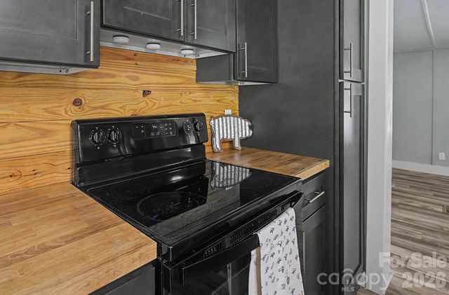 1011 Reed Street, Asheville, NC 28804