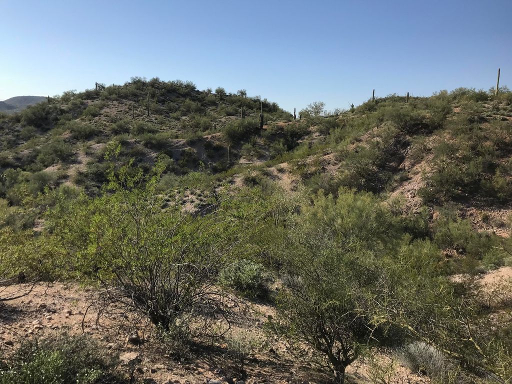 0 Mockingbird Road 0, Wickenburg, AZ 85390 — photo 3