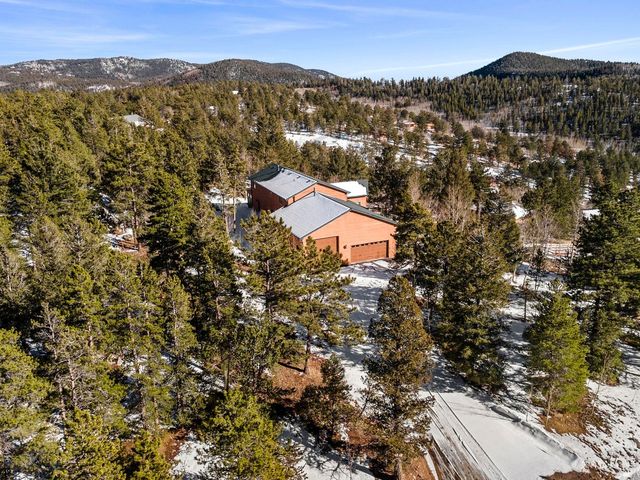 412 Evergreen Rd, Black Hawk, CO 80422