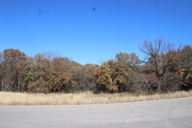 450 Rolling Hills Boulevard, Alvord, TX 76225