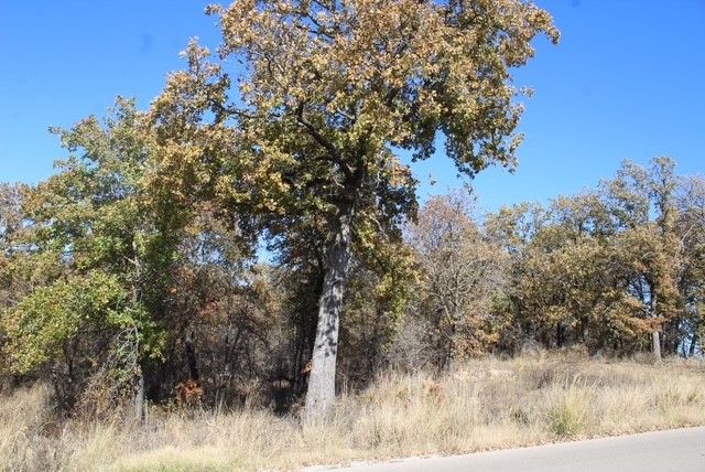 450 Rolling Hills Boulevard, Alvord, TX 76225