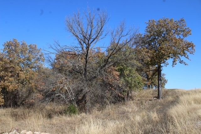 450 Rolling Hills Boulevard, Alvord, TX 76225