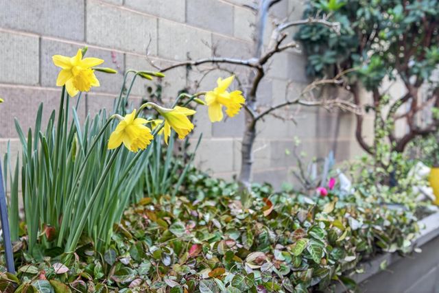 9763 Dartwell Way, Sacramento, CA 95829