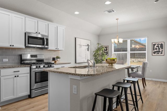 137 Empress Tree DR, Leander, TX 78641