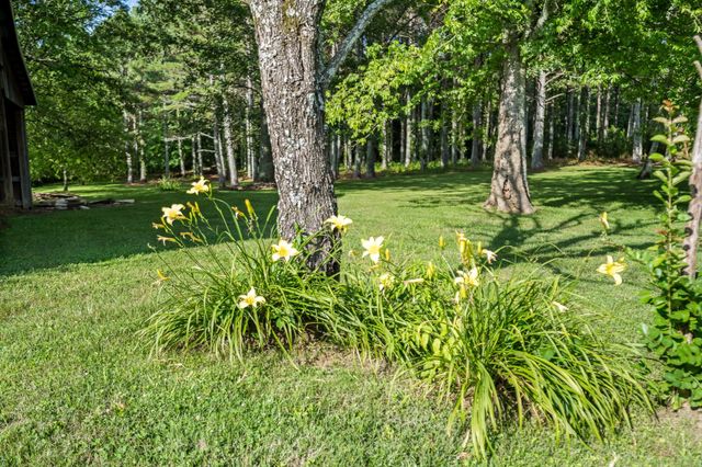 1825 Elkton Pike, Pulaski, TN 38478