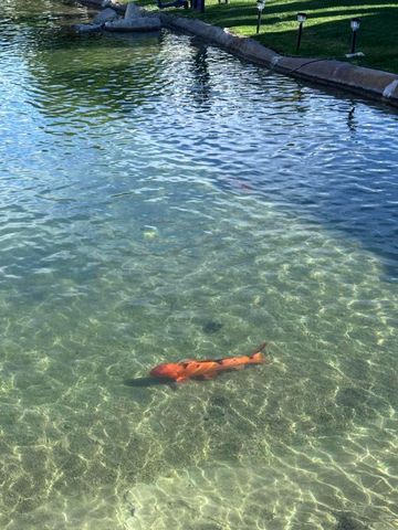 81620 Avenue 49 97a, Indio, CA 92201