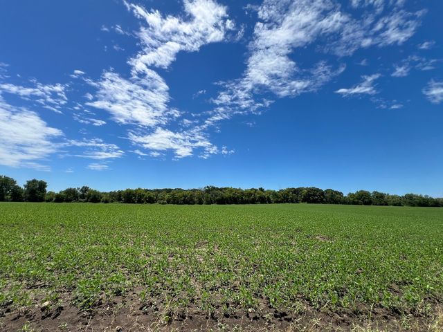 49.64 ACRES BECK Road, Marengo, IL 60152