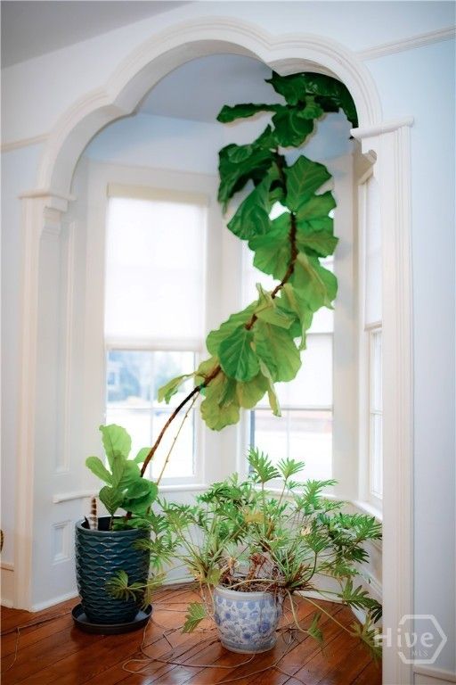 Image 10 of property listing at 524 Hill Street, Athens, GA 30601