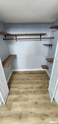 6848 Lake Service Road, Rochester, IL 62563