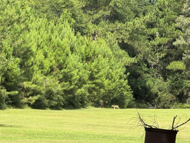 15590 Fm-92, Spurger, TX 77660