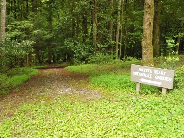 8242 Cox Mountain Drive, Big Canoe, GA 30143