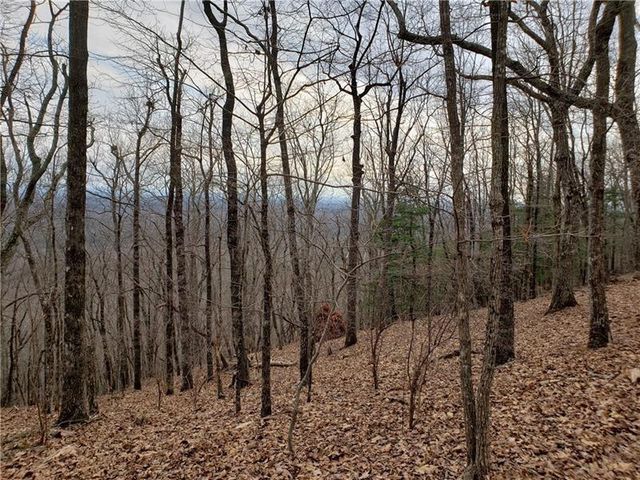 8242 Cox Mountain Drive, Big Canoe, GA 30143