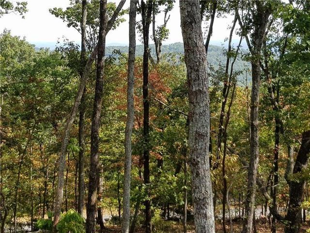 8242 Cox Mountain Drive, Big Canoe, GA 30143